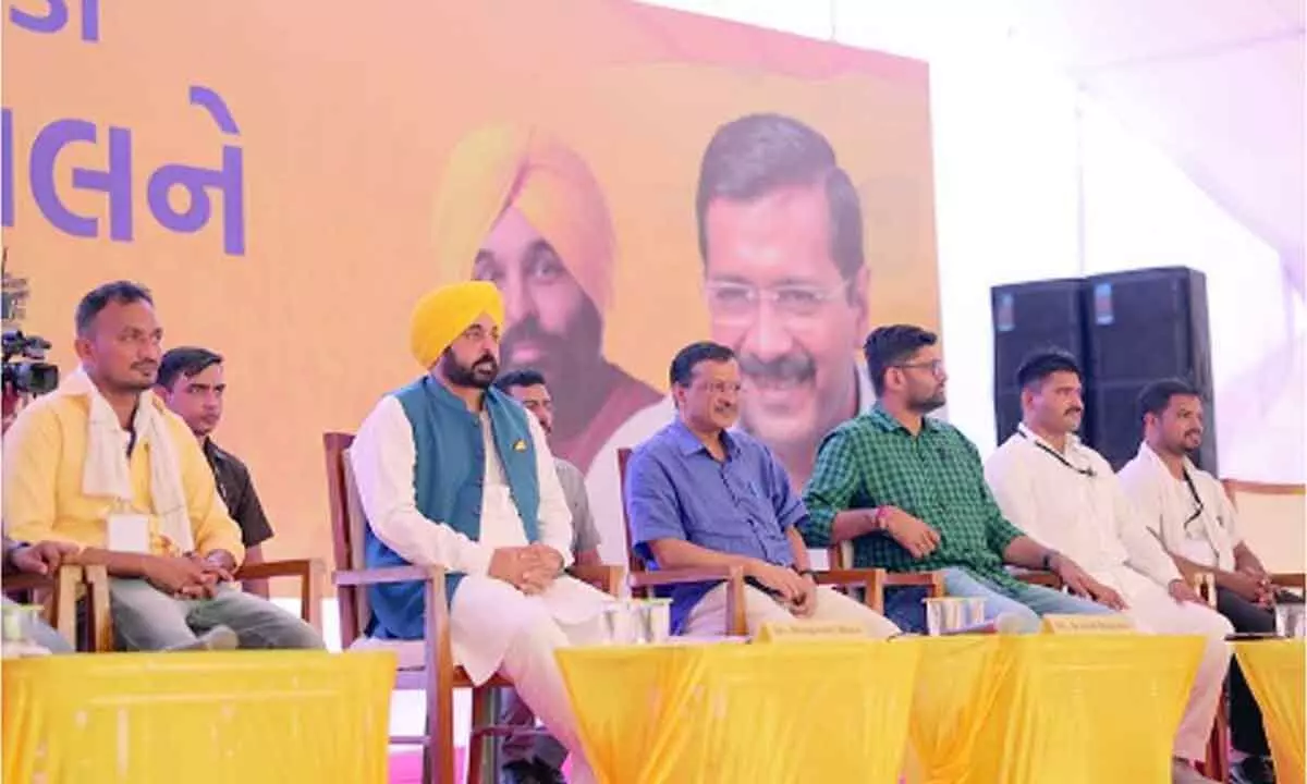 People of Gujarat eager to oust BJP govt: Mann