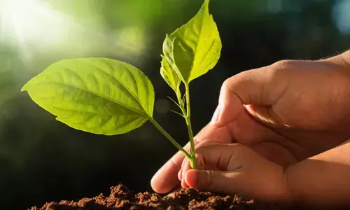 Representational image