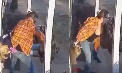 Mother rescues 5-year-old daughter attacked by a raccoon. (Image courtesy: Twitter)