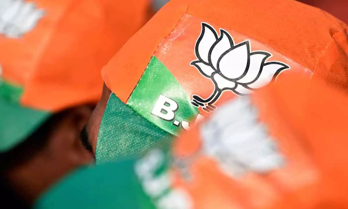 BJP wins 10 seats, AAP 6 as first MCD results out
