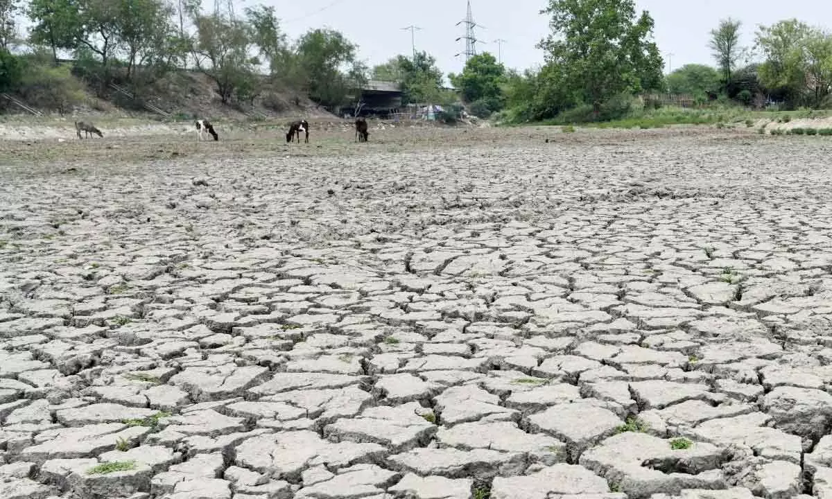 World Bank report warns of heatwaves beyond endurance in India