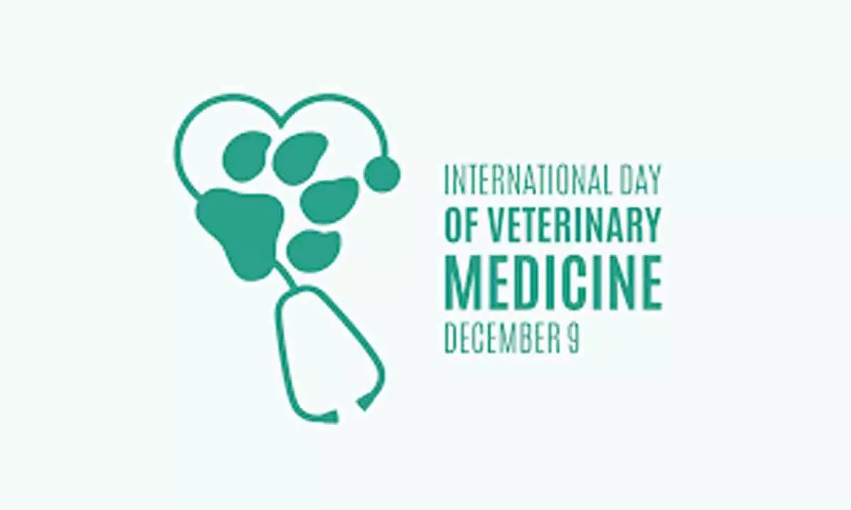 International Day of Veterinary Medicine