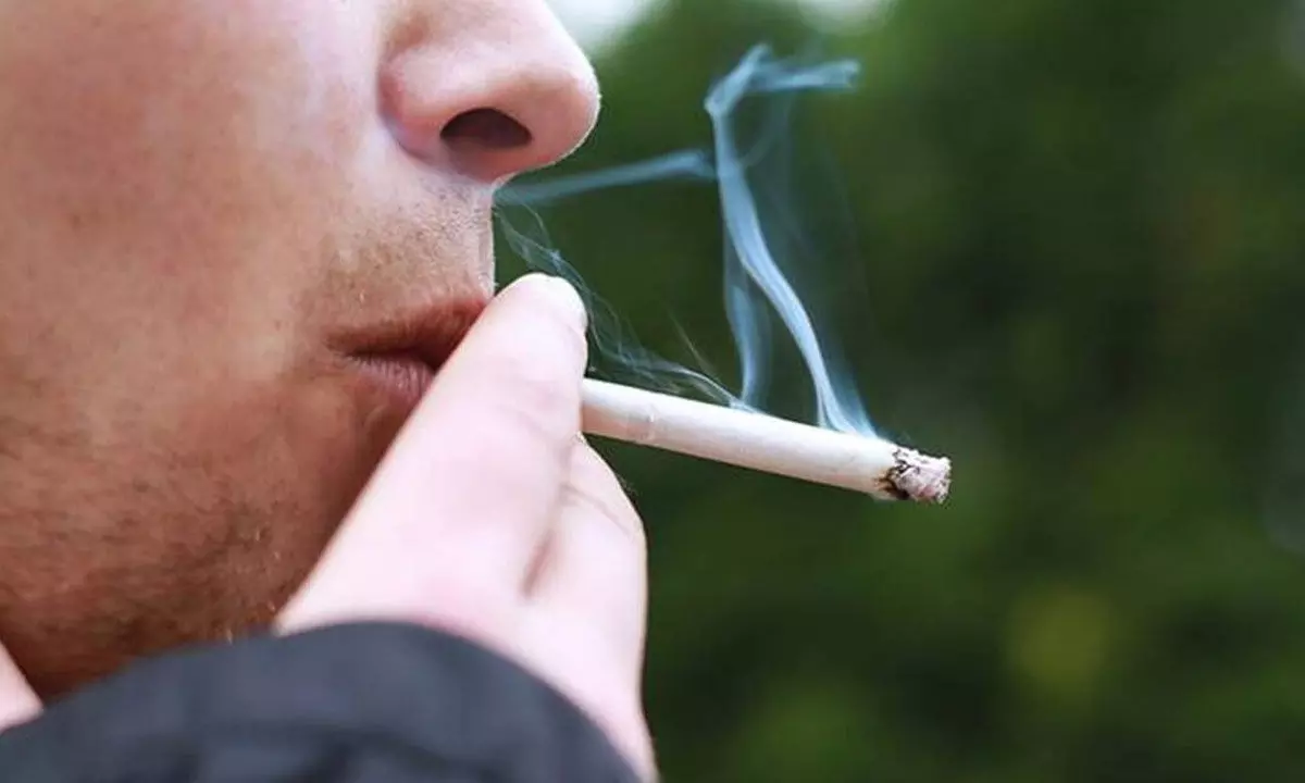 Urgent need to rationalise tobacco tax