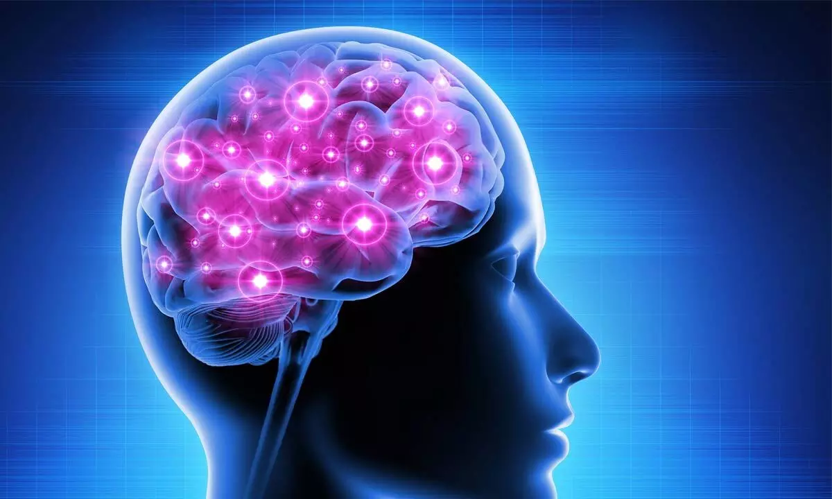 Brains with more vitamin D have better cognitive function