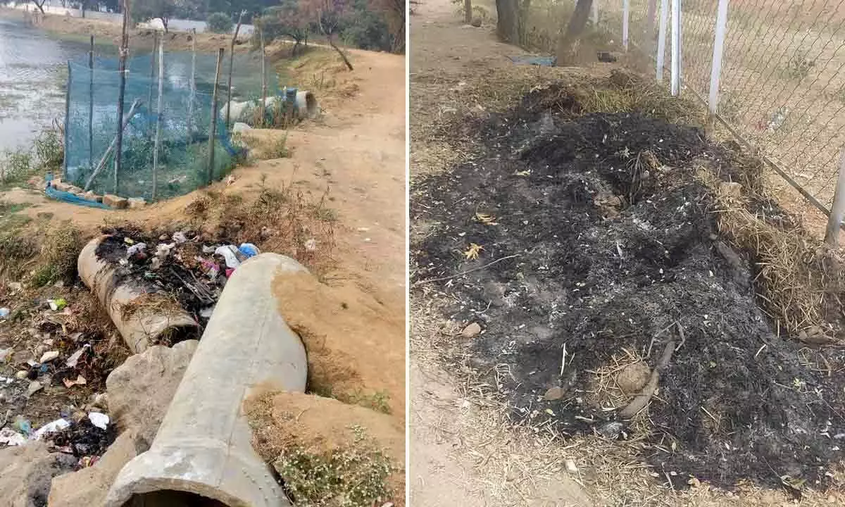 Neglected Meedikunta lake cries for attention