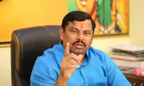 MLA Raja Singh booked for derogatory post on FB
