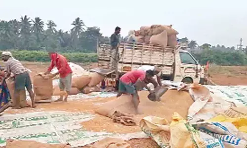 Farmers drying paddy on the road in Kakinada district