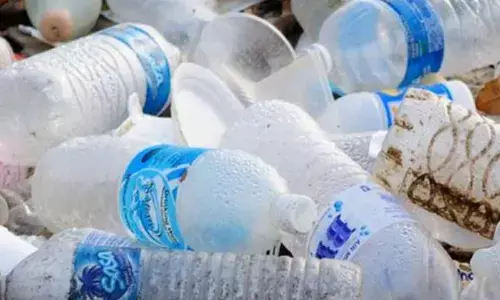 BBMP collects fine of 75 lakh in merely 5 mths