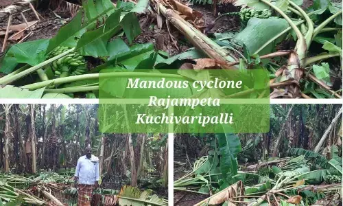 Waterbodies receiving huge inflows in erstwhile YSR district