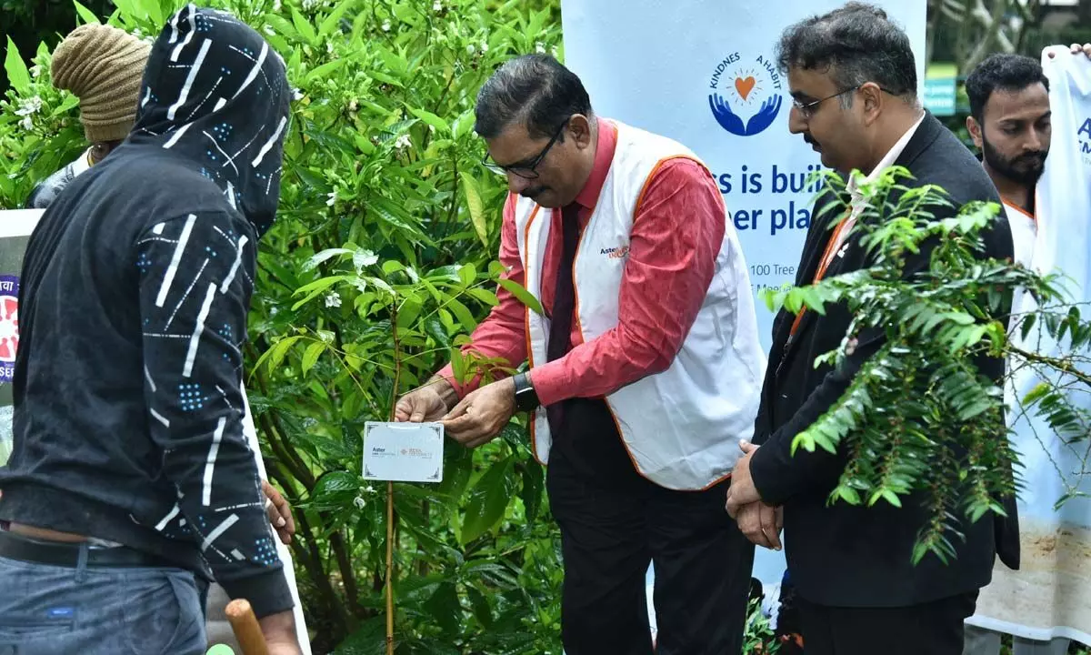 More than 100 students, doctors and teachers came together to plant trees