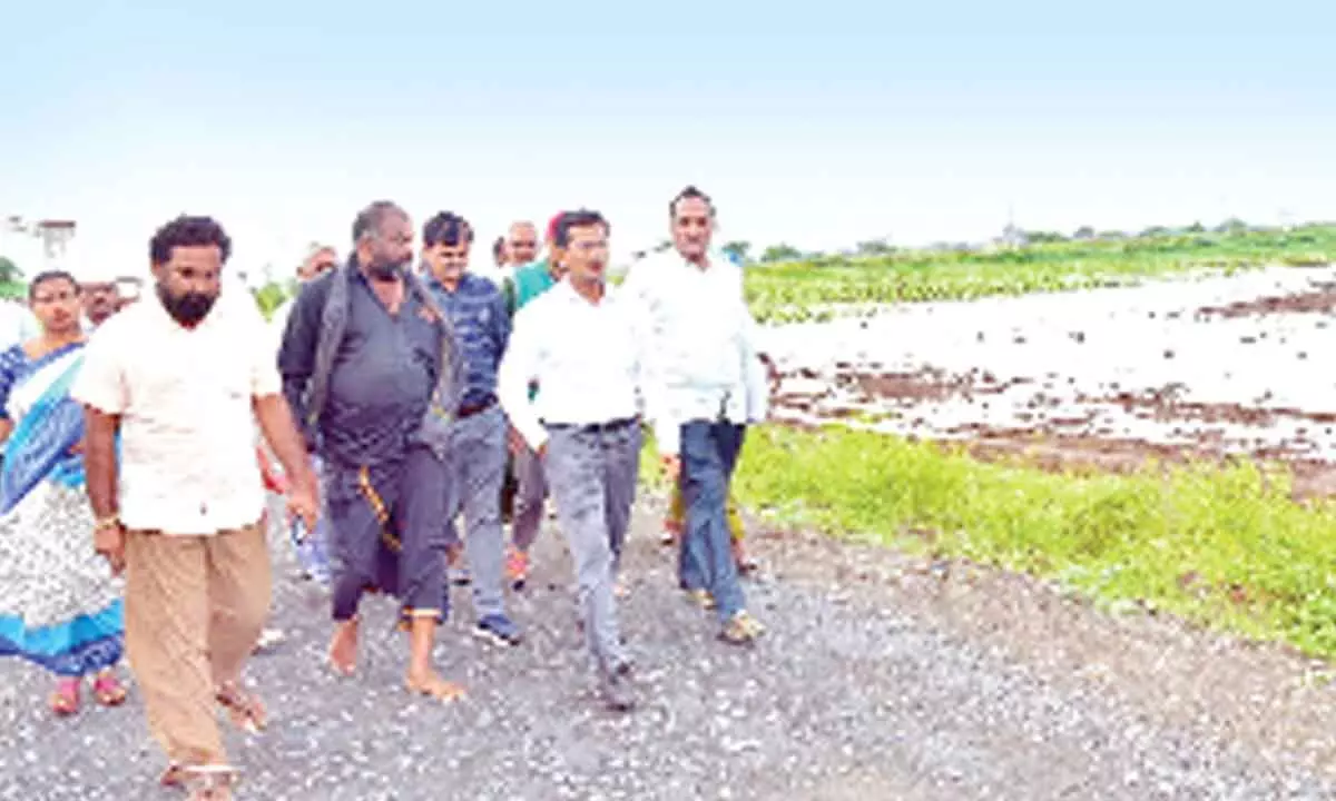 Prakasam District Collector AS Dinesh Kumar inspecting crops submerged in rainwater at Naguluppalapadu mandal on Monday