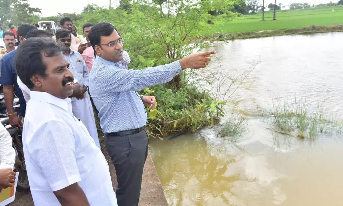 Nellore District Collector KVN Chakradhar Babu visiting agriculture fields submerged in rainwater in Manubole mandal on Tuesday