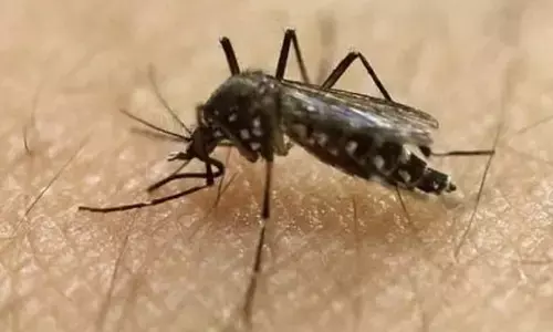 Image used for representational purpose only. (Photo | AP)