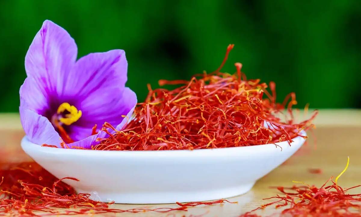 Valley's saffron is the Kashmiri gold