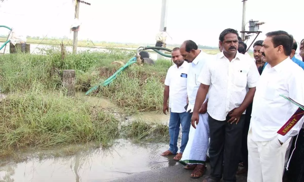 Minister K Govardhan Reddy inspecting rain-hit agriculture fields in Manubole mandal in Nellore district on Wednesday