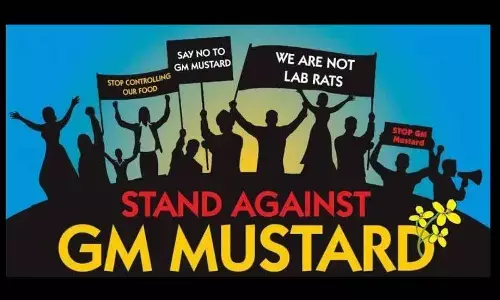 Opening flood gates to GM foods