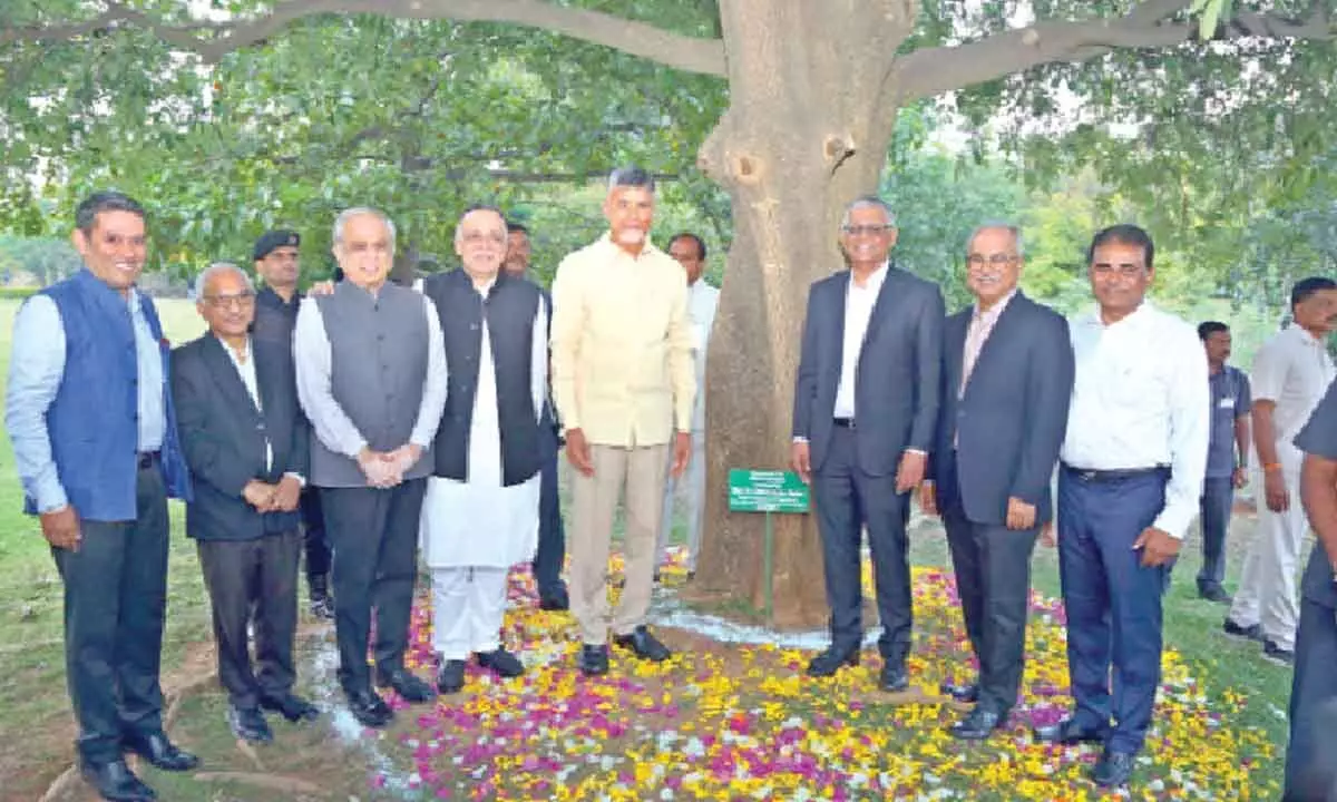 Former Chief Minister and TDP national president N Chandrababu Naidu and others standing at a tree on ISB campus in Hyderabad on Friday.  A sapling planted by Naidu in 2011 has grown into the tree at the campus.