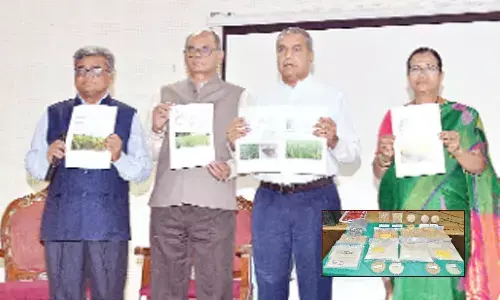 Agri varsity produces 15 new high-yielding grain varieties in 2022