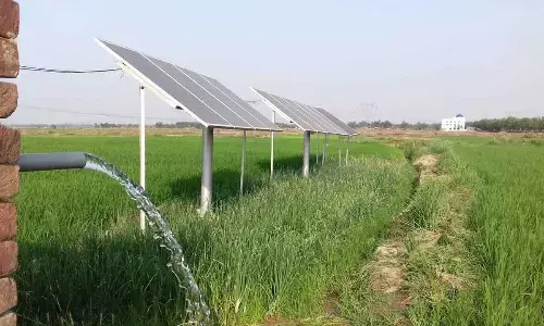 Punjab ranks second in average monthly income per agricultural household: Centre