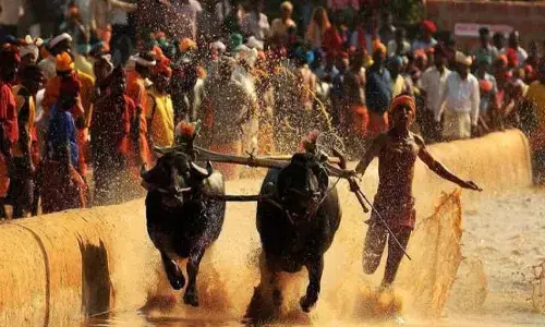 Kambala season begins to enthuse local folks in coastal Karnataka