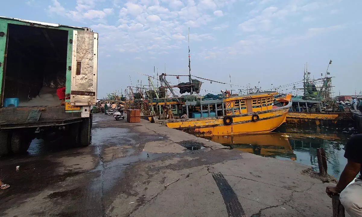 Some of the stocks left on boats at the Fishing Harbour in Visakhapatnam