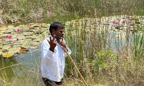 Film on greenheart wins special award