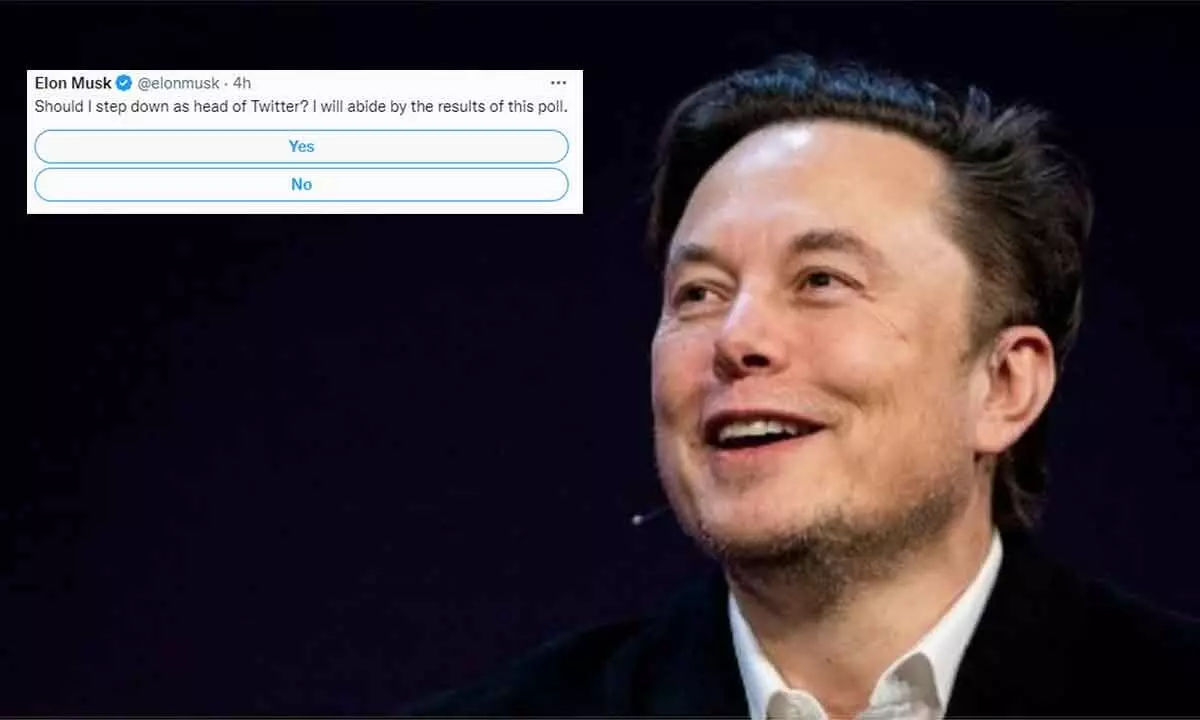Should I step down as head of Twitter? asks Elon Musk, majority say yes