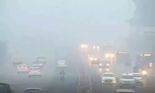 Dense fog envelopes Delhi, reduces visibility