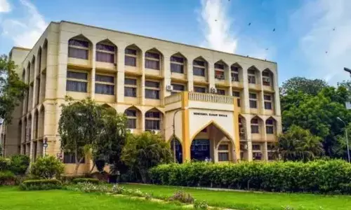 Canteen Operators Of Jamia Milia Islamia Took Initiative To Feed Strays