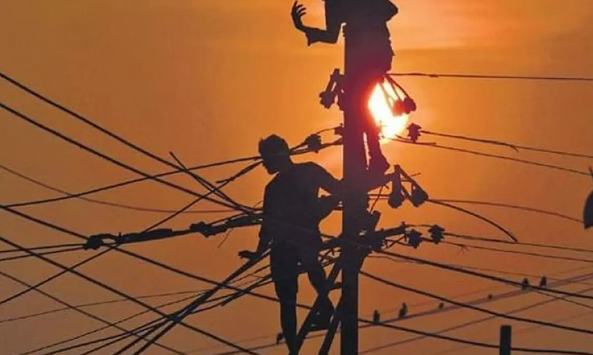 15,000 Farmers In Tamil Nadu Will Receive Free Power Connections Before Pongal