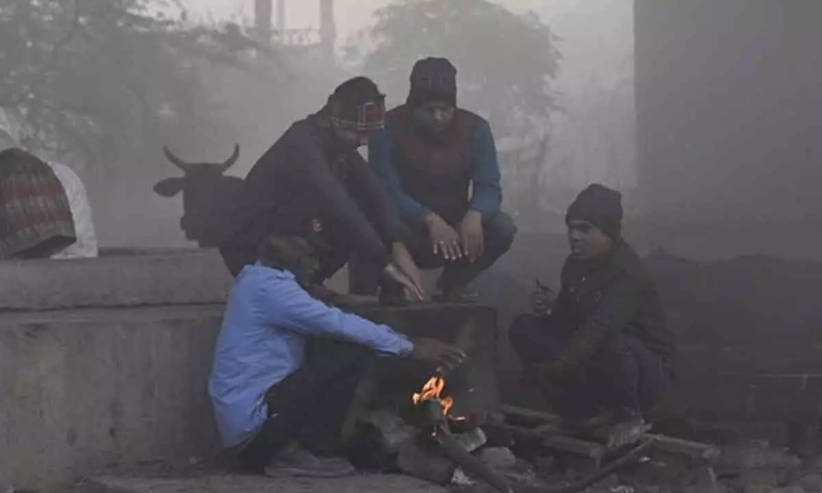 Cold wave grips North India, dense fog engulfs several areas