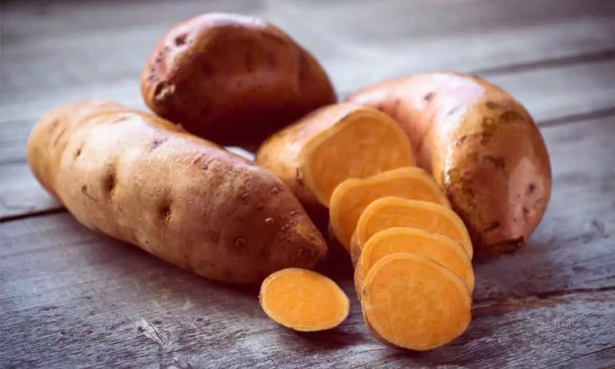 5 health benefits of Sweet Potatoes