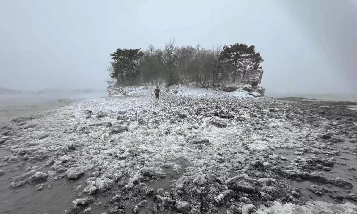 US govt declares power emergency in Texas amid Arctic blast