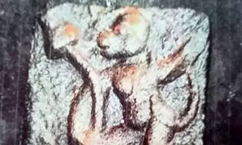 The 300-year-old antique idol of Lord Hanuman, believed to have been installed by the Nayak kings, was recovered from the house of the second accused in Vellore, a release said. (PTI)