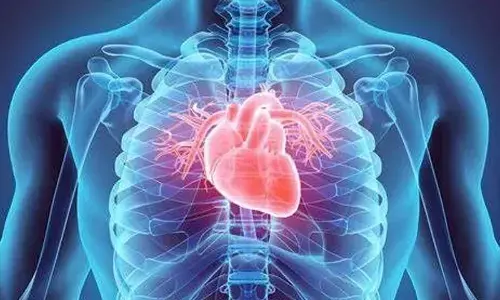 IIT Kanpur ready with artificial heart