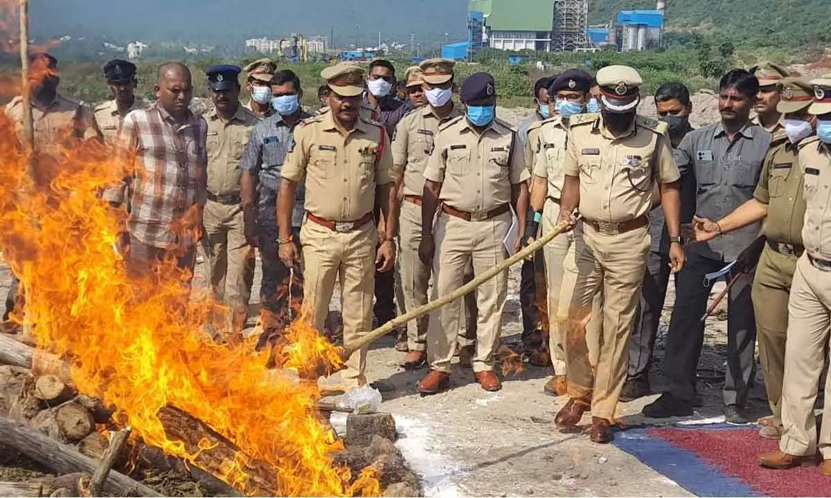 City police set on fire ganja worth Rs 9.2 cr