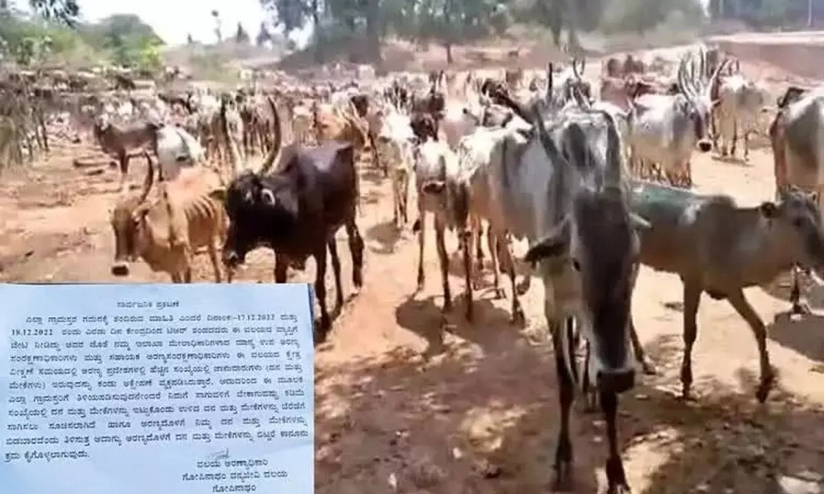 Instructions to ryots to stop  rearing excess cattle whips up din
