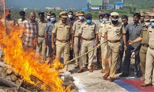 City police set on fire ganja worth Rs 9.2 cr