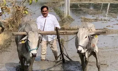 State developing temples: Errabelli