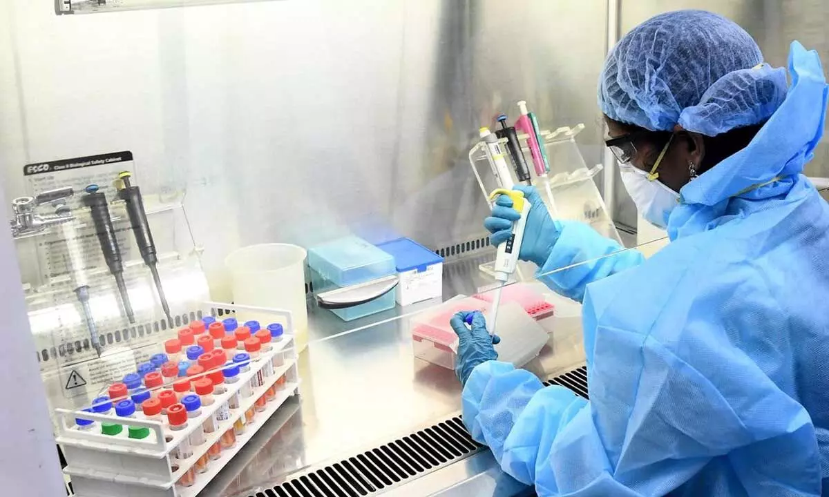 Whole Genome Sequencing Will Be Conducted Among All Positive Samples In Tamil Nadu