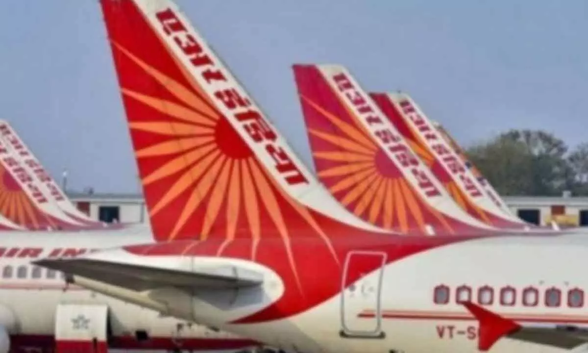 Air India not govt controlled: Delhi High Court