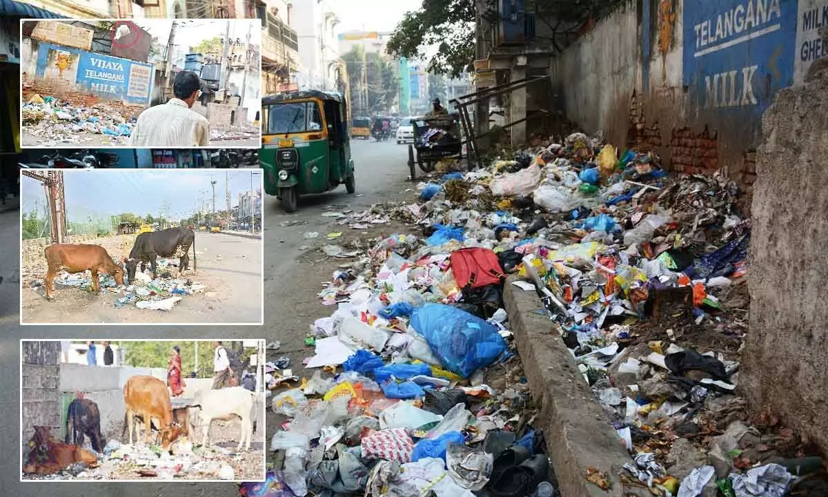 Hyderabad: Roads, street corners turn garbage dumps across City