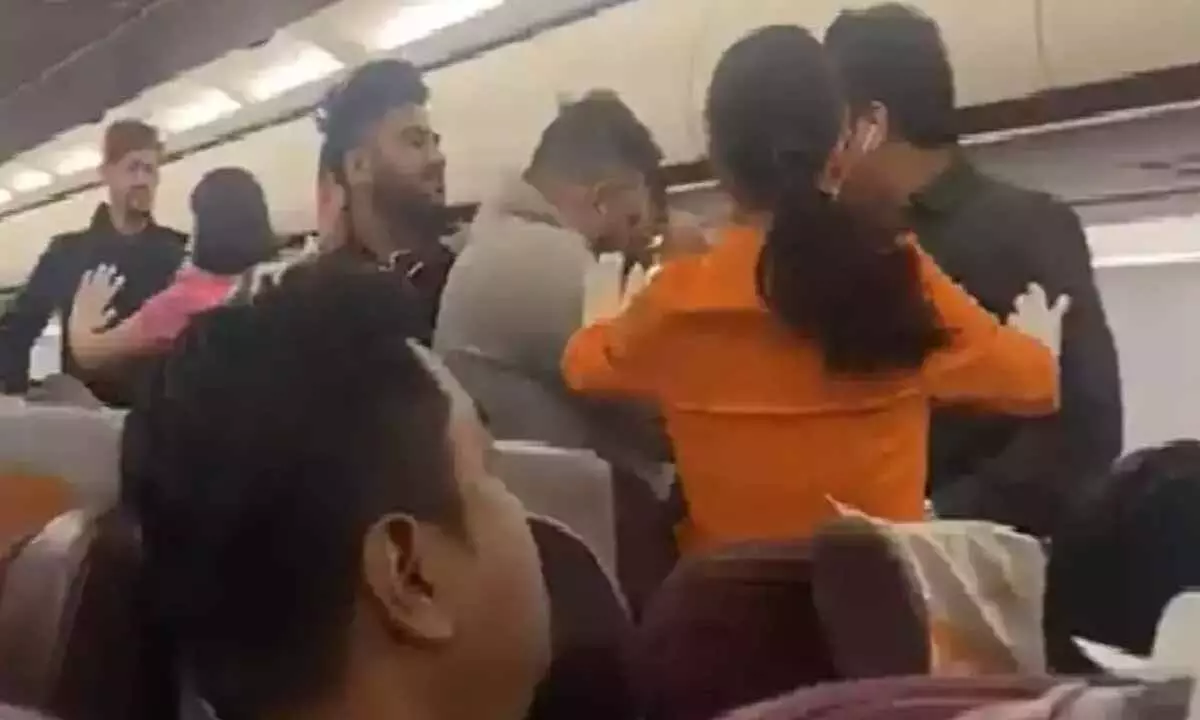 Watch The Trending Video Of Fight Breaking Down Between Bangkok To Kolkata Flight