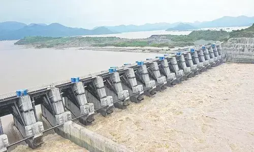 PPA to inspect Polavaram project and R&R Colony works