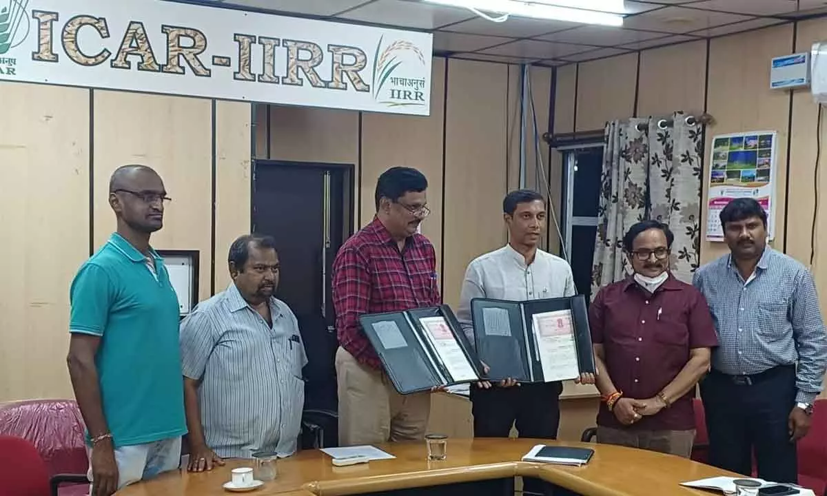 ITC MSK partners ICAR-IIRR to promote climate smart farming