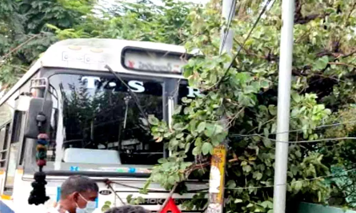 RTC bus rams into tree in Mehdipatnam, 5 hurt