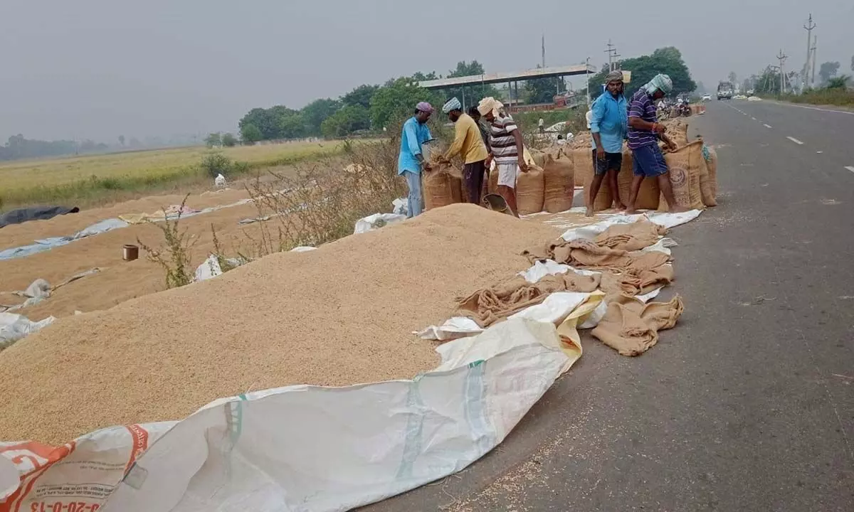 Paddy yield being shifted in gunny bags for purchase in Krishna district