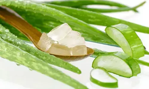 Heal winter skin care with aloe vera