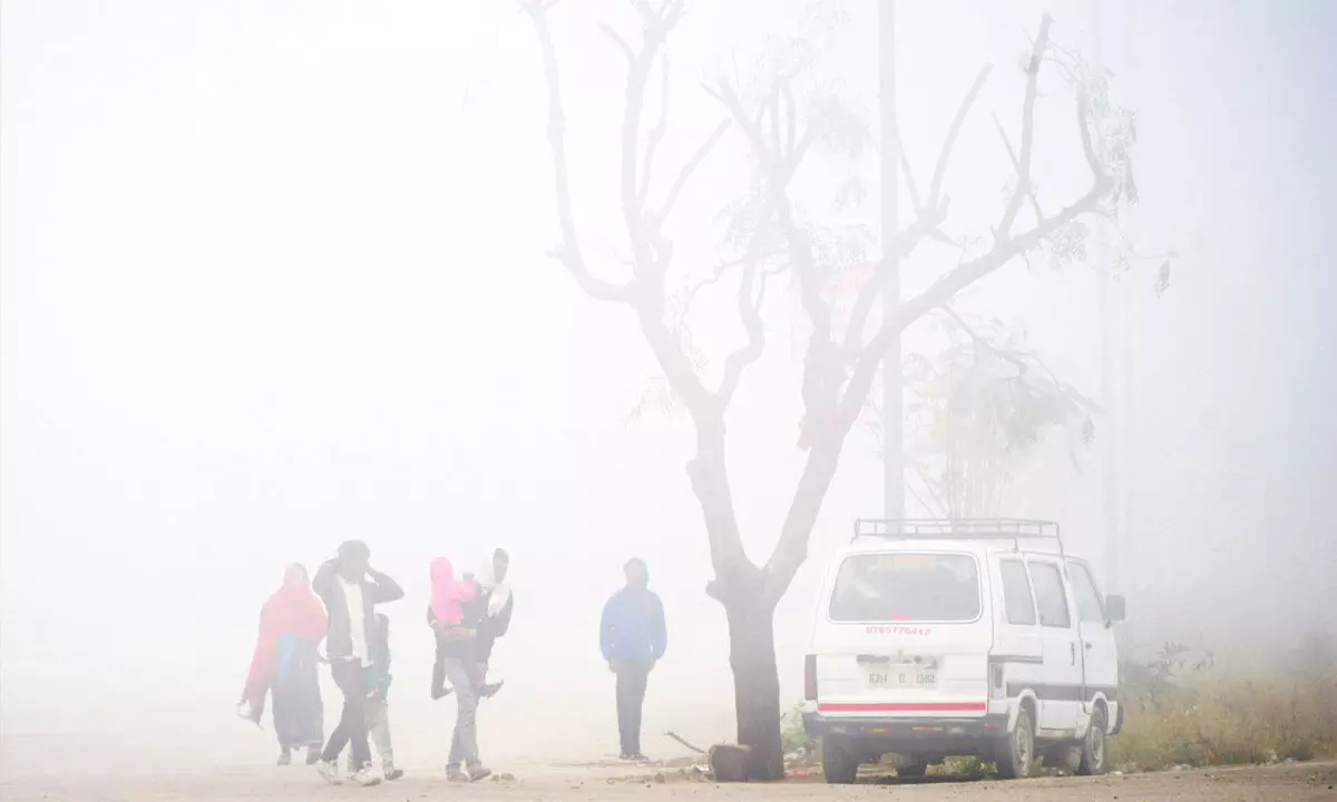 Dense fog covers Rajasthan; Churu freezes at minus 0.9 degree Celsius