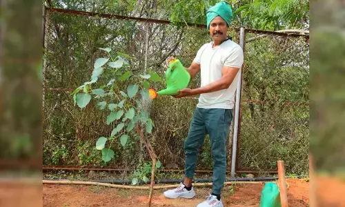 Pan India actor Samudrakhani takes part in Green India Challenge